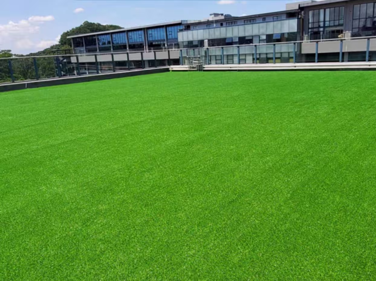 Lawn turf