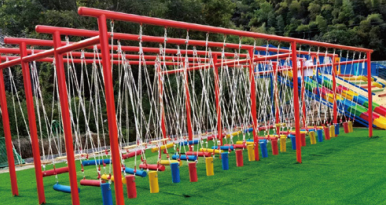 A dragonfly skimming the water