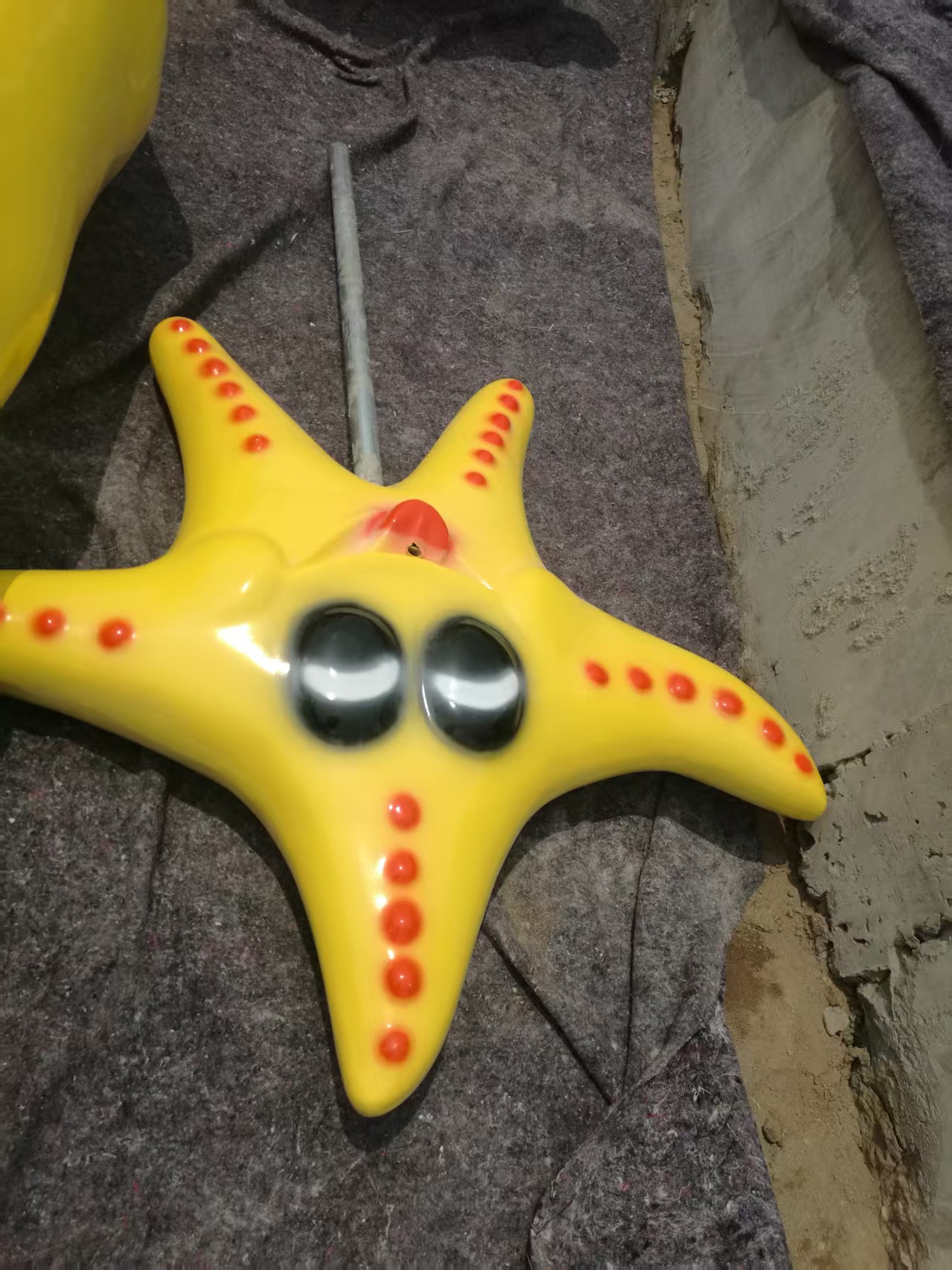 Star pencil crocodile Dolphin Water Play Sketch